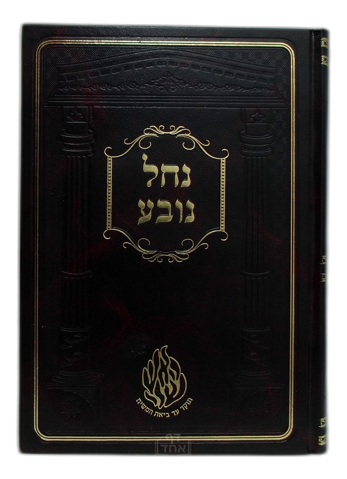נחל נובע
