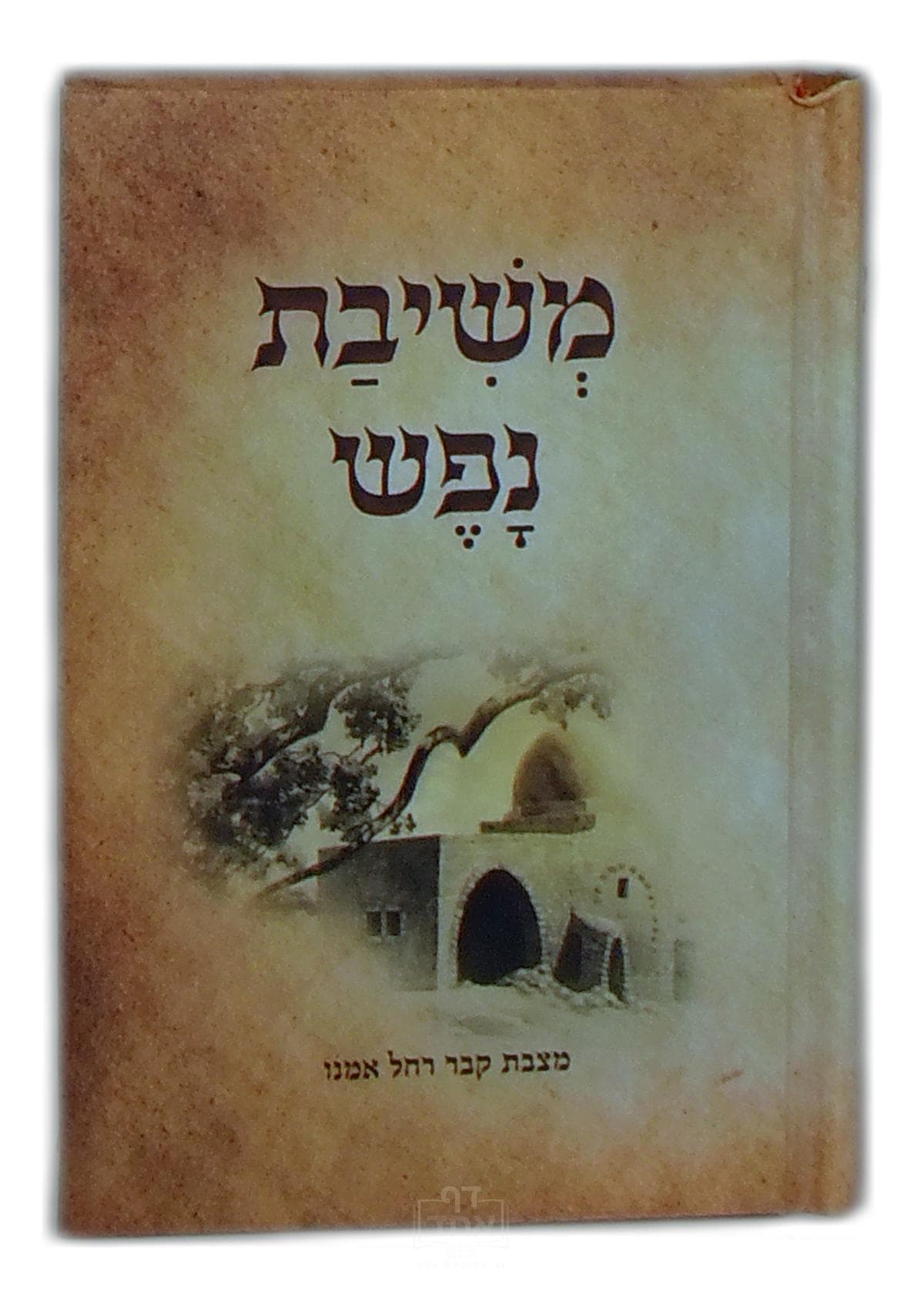 משיבת גפש כיס קרן ישראל דב אודסר מציור