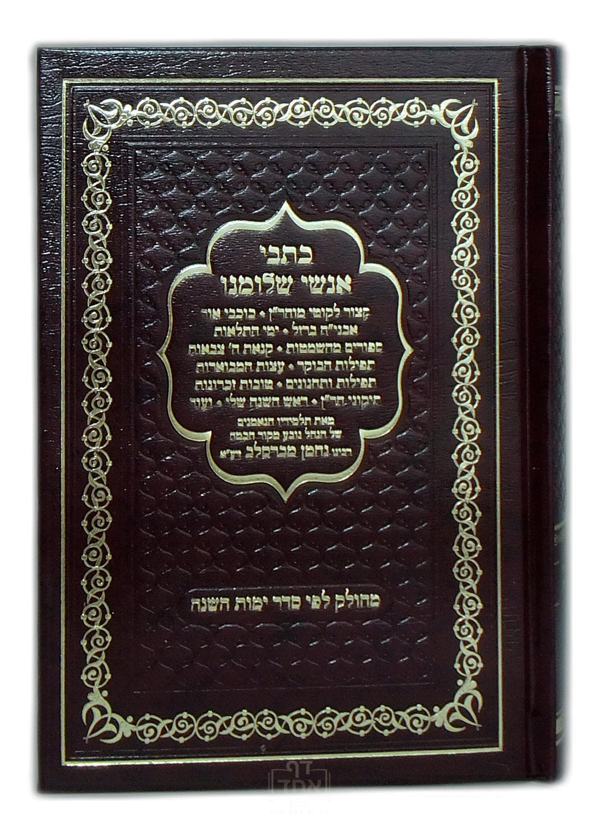 כתבי אנשי שלומנו בינוני
