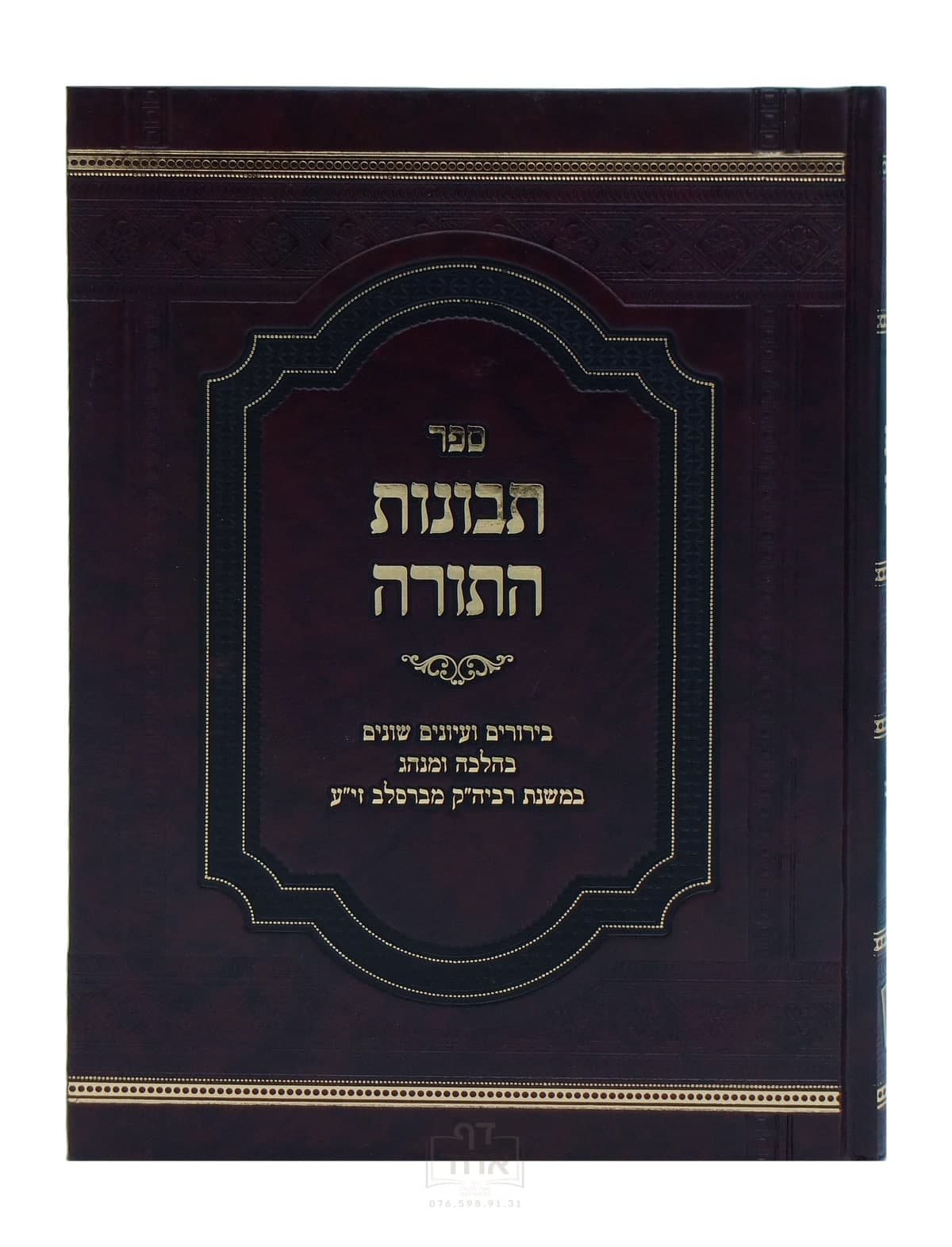 תבונות התורה