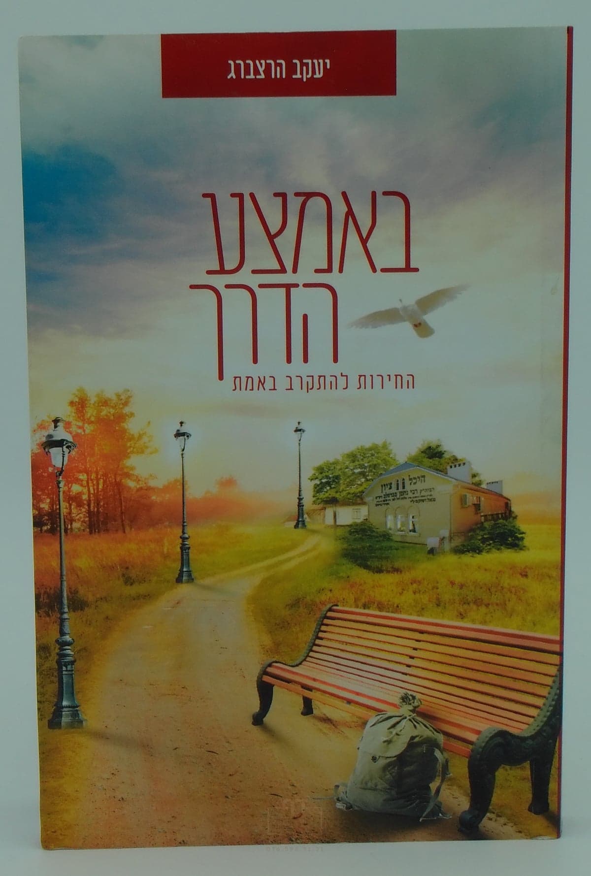 באמצע הדרך