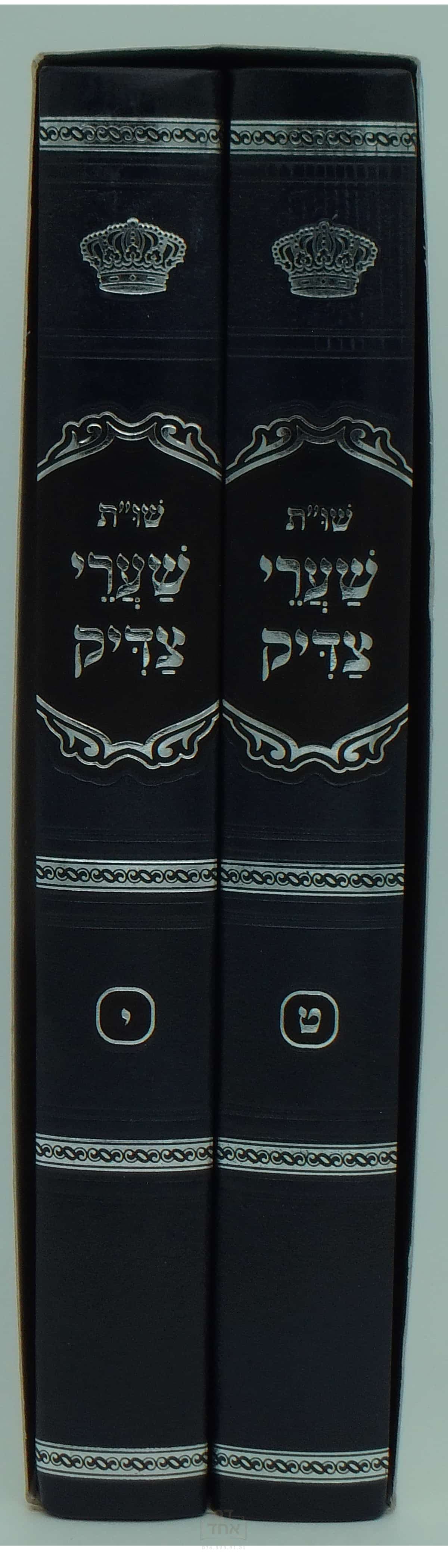 שו"ת שערי צדיק חלק ט י