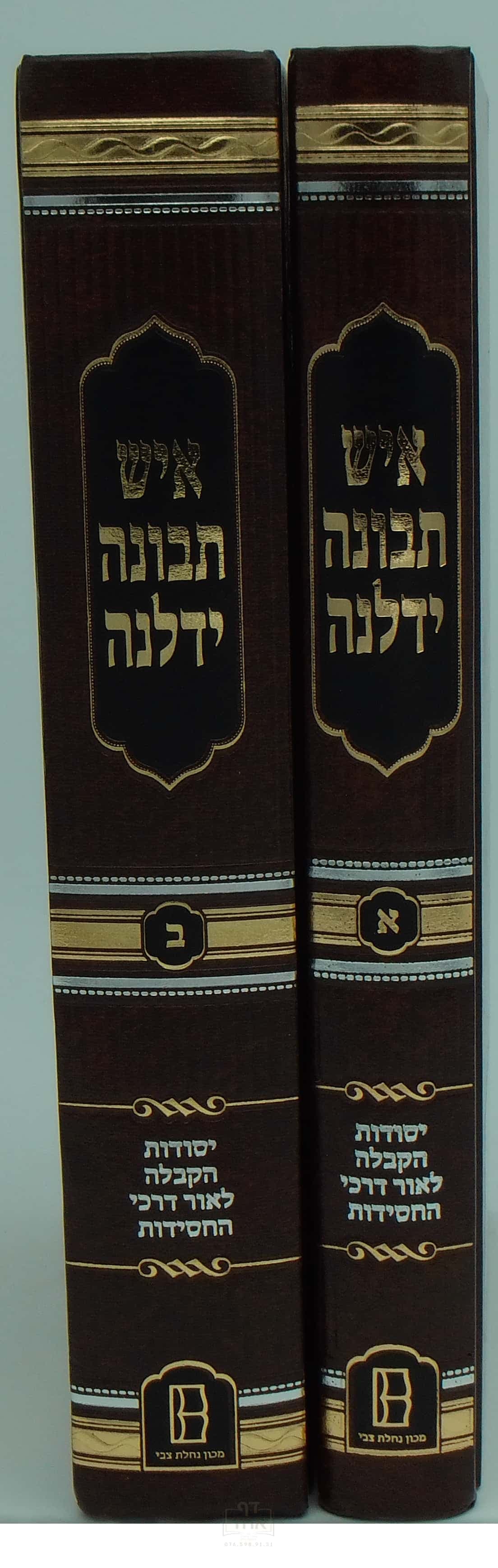 איש תבונה ידלנה