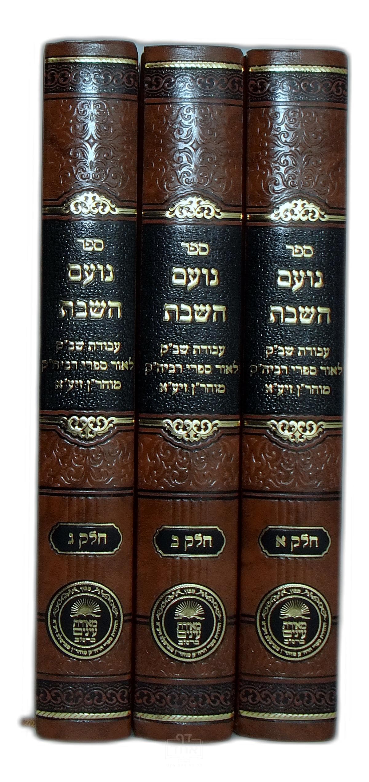 נועם השבת
