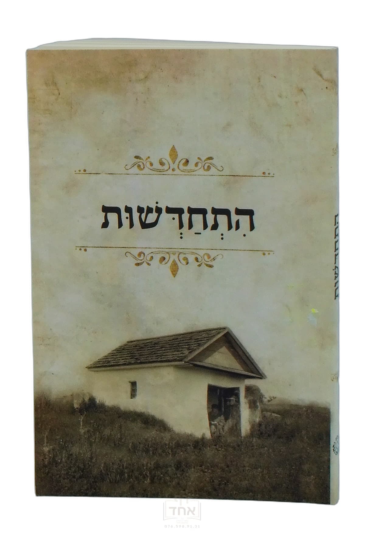 התחדשות