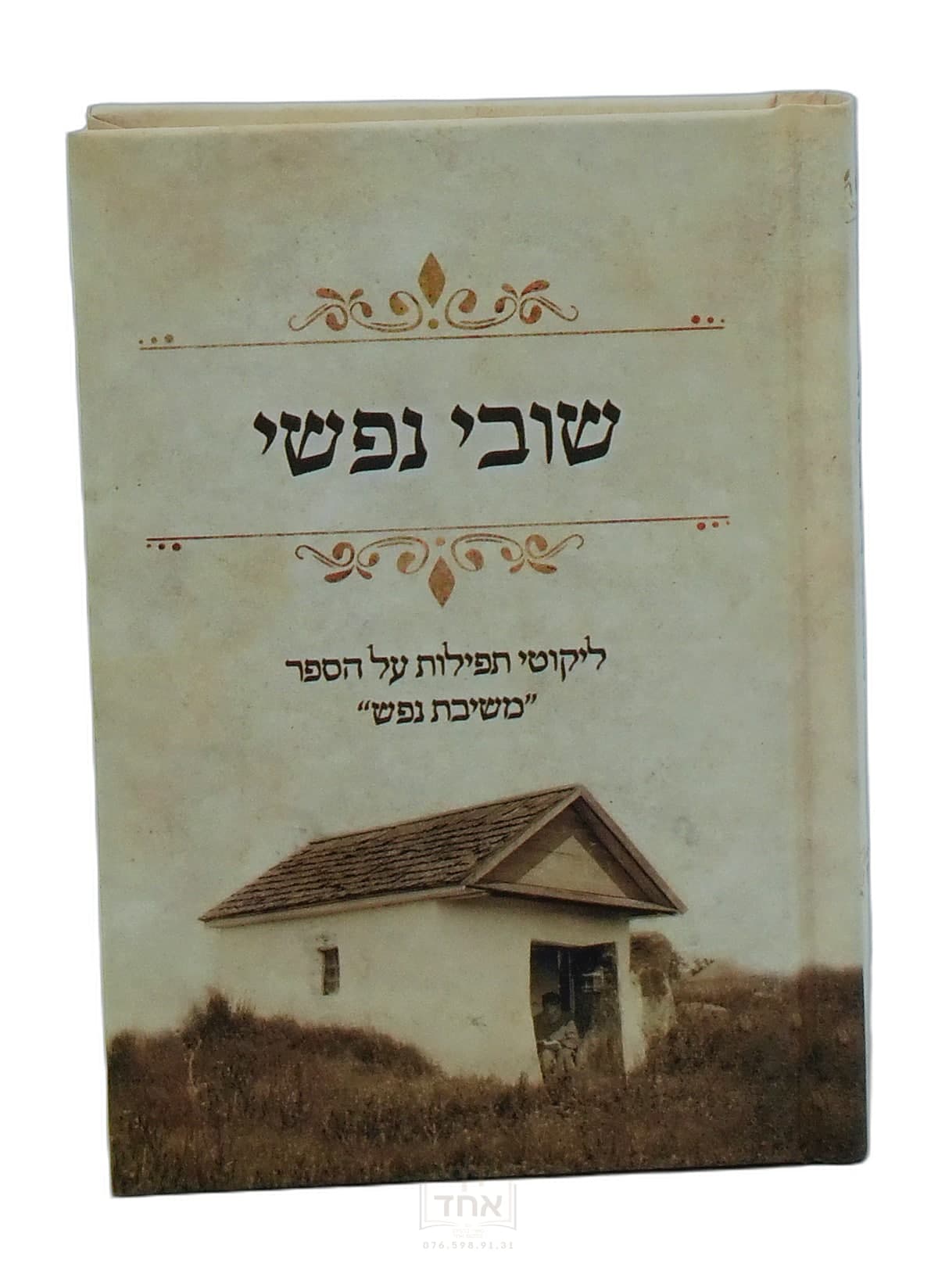 שובי נפשי