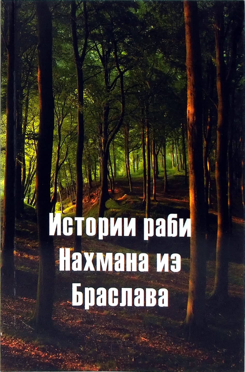 Reb Nachman's Stories - Russian