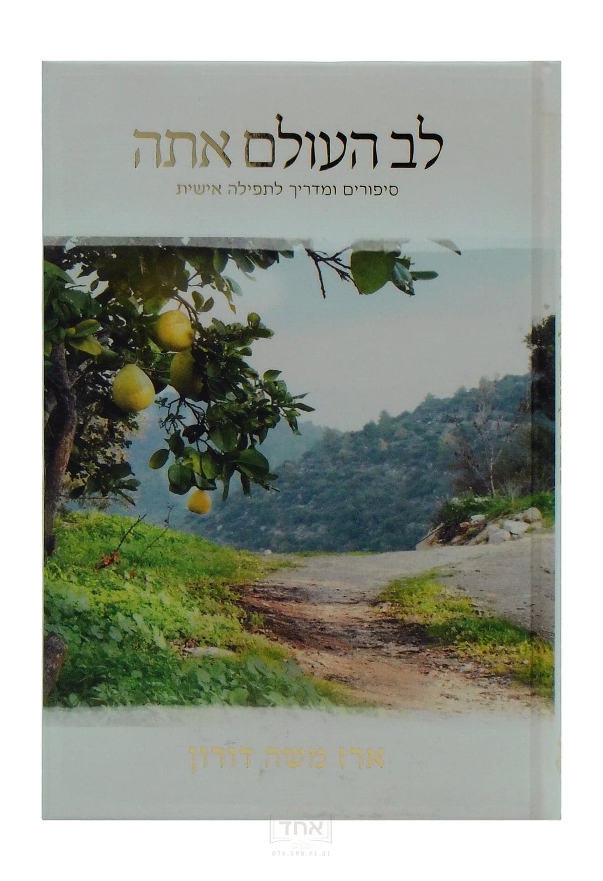 לב העולם אתה