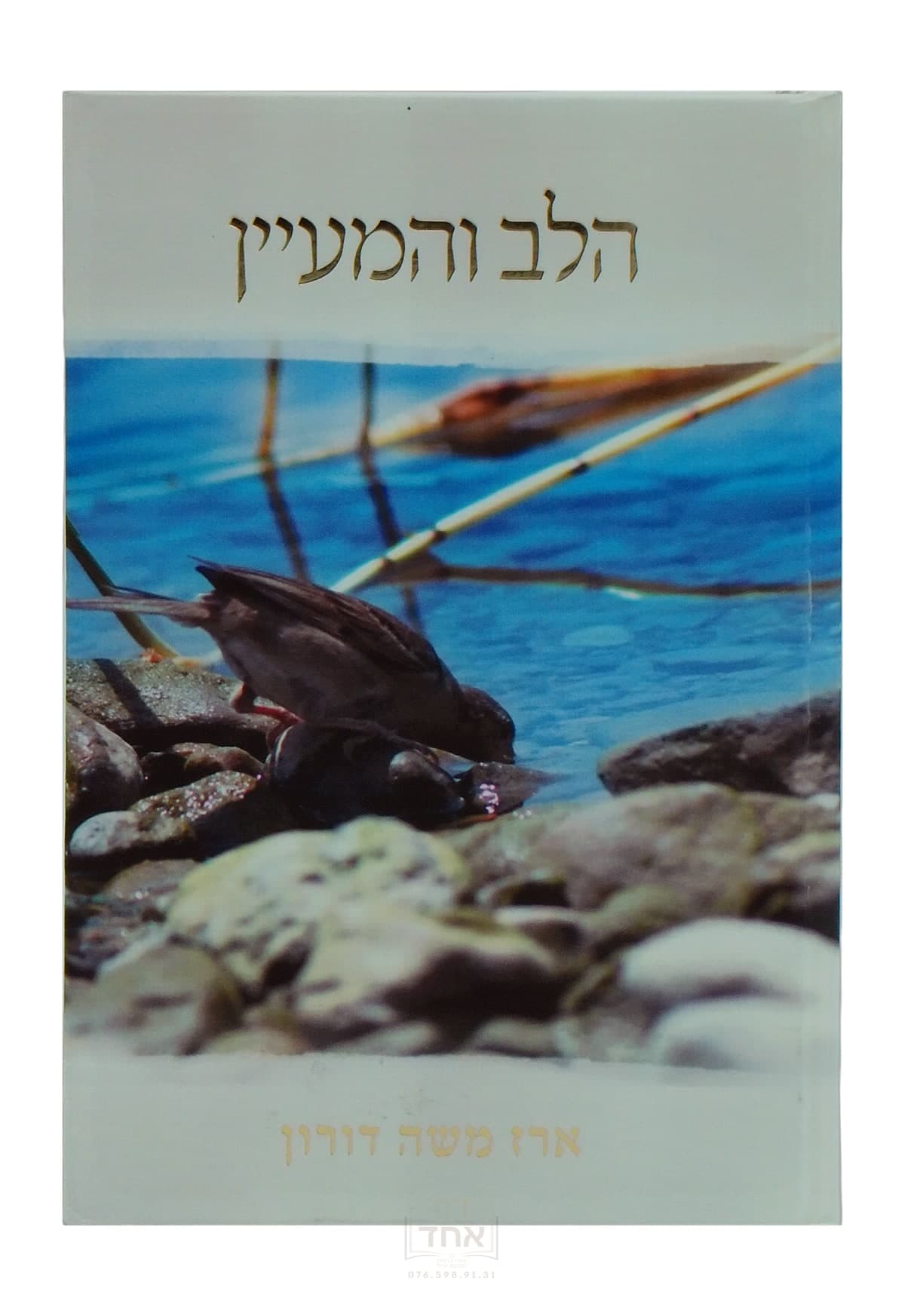 הלב והמעיין