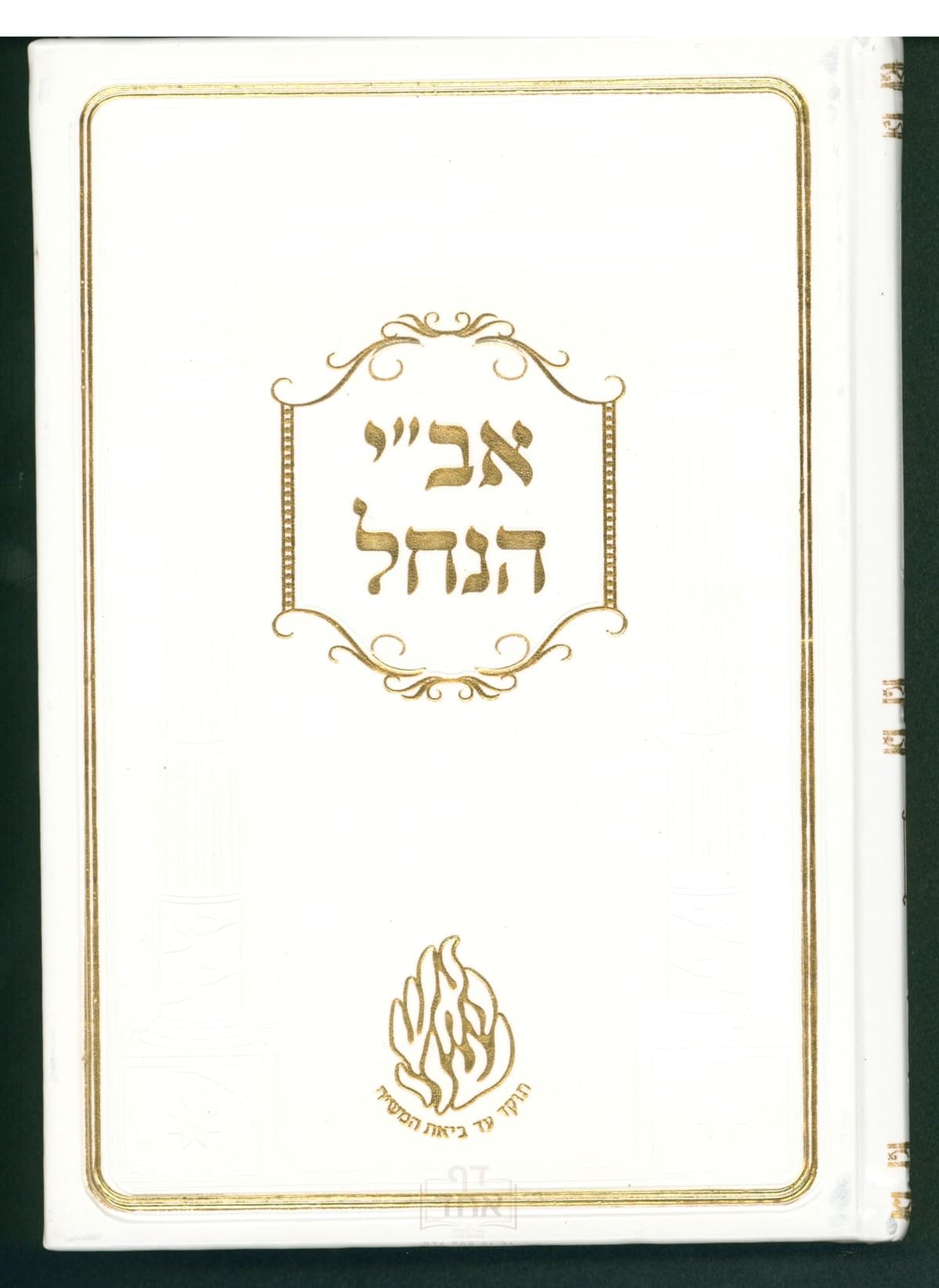 אב"י הנחל גדול קרן ישראל דב אודסר לבן