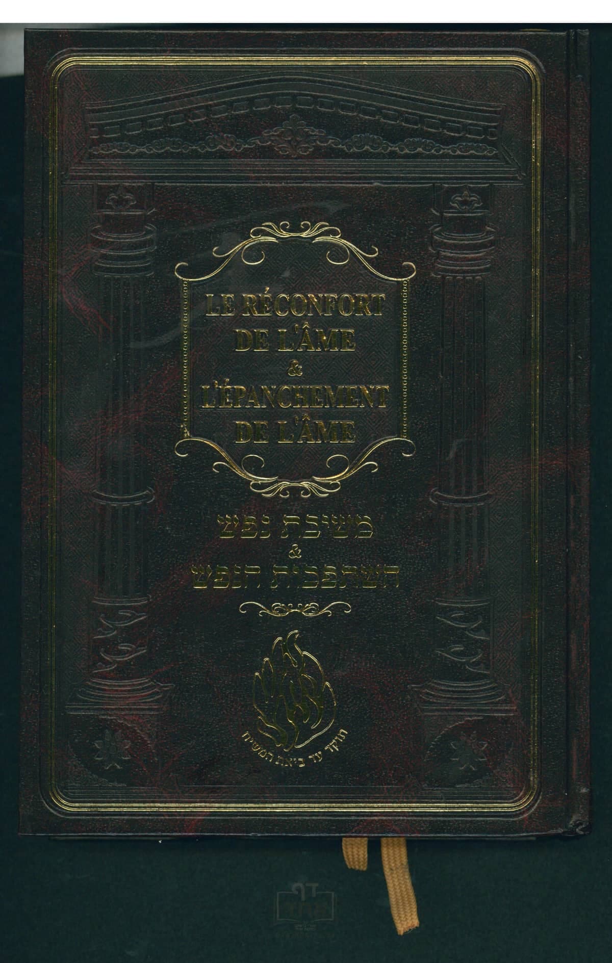 השתפכות הנפש ומשיבת נפש (צרפתית)